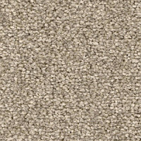 Balsan First Class 660 фото 1 | FLOORDEALER