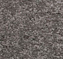 Ковролин AW Vivendi Vigour 97 фото 1 | FLOORDEALER