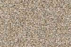 Ковролин Balsan First Class 660 фото  | FLOORDEALER