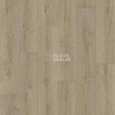 Линолеум Tarkett Praktika NUBIA_1 фото 1 | FLOORDEALER