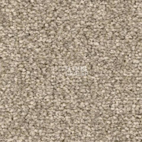 Ковролин Balsan First Class 660 фото 1 | FLOORDEALER
