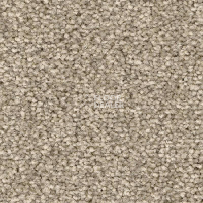 Ковролин Balsan First Class 660 фото 1 | FLOORDEALER