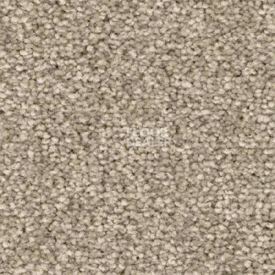 Ковролин Balsan First Class 660 фото 1 | FLOORDEALER