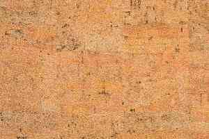 Линолеум Novoflor Standard 4650_3 фото  | FLOORDEALER