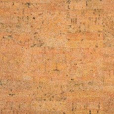 Линолеум Novoflor Standard 4650_3 фото 1 | FLOORDEALER