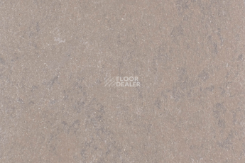 Линолеум Forbo Marmoleum Solid Concrete 3568-356835 delta lace фото 1 | FLOORDEALER