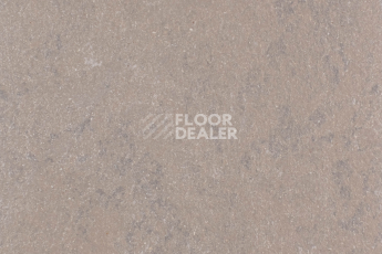 Линолеум Forbo Marmoleum Solid Concrete 3568-356835 delta lace фото 1 | FLOORDEALER