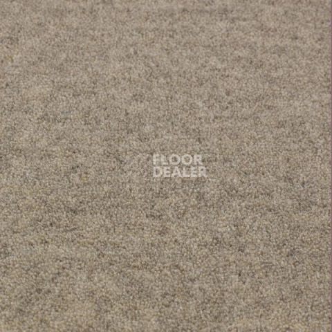 Ковролин Jacaranda Carpets Bilpar Grey фото 1 | FLOORDEALER