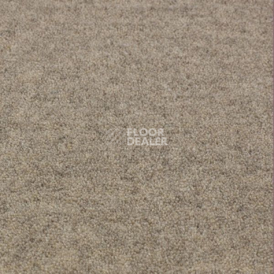 Ковролин Jacaranda Carpets Bilpar Grey фото 1 | FLOORDEALER