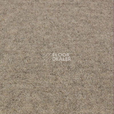 Ковролин Jacaranda Carpets Bilpar Grey фото 1 | FLOORDEALER