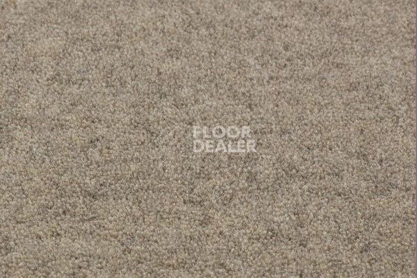 Ковролин Jacaranda Carpets Bilpar Grey фото 1 | FLOORDEALER