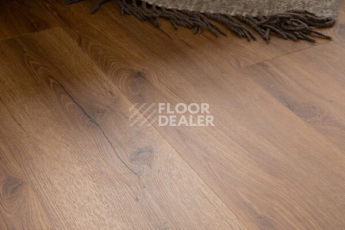 Vinilpol Click 6мм 8833-EIR Дуб Сан-Ремо фото 3 | FLOORDEALER