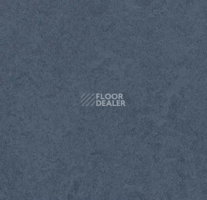 Линолеум Forbo Eternal Original 68742 blueberry фото 1 | FLOORDEALER
