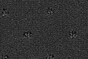 Ковролин Balsan Royal 960 фото  | FLOORDEALER