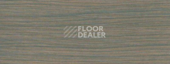 Плинтус Dollken EP 60/13 2012 фото 2 | FLOORDEALER