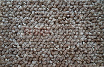 Ковролин Timzo Fortuna 3914 фото 1 | FLOORDEALER