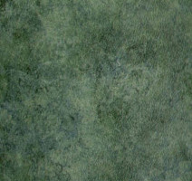 Линолеум Grabo Standart Color 4558-461 фото 1 | FLOORDEALER