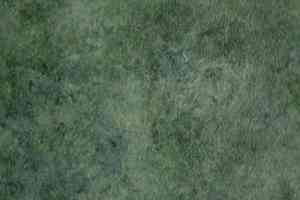 Линолеум Grabo Standart Color 4558-461 фото  | FLOORDEALER