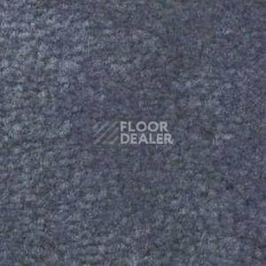 Ковролин Shaw Bradberry 30 687 фото 1 | FLOORDEALER