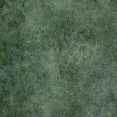 Линолеум Grabo Standart Color 4558-461 фото 1 | FLOORDEALER