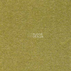 Ковролин AW Energy 21 фото 1 | FLOORDEALER