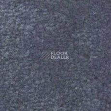 Ковролин Shaw Bradberry 30 687 фото 1 | FLOORDEALER