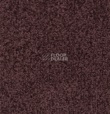 Ковролин Betap Transmit 370 фото 1 | FLOORDEALER