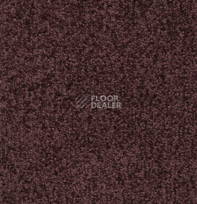 Ковролин Betap Transmit 370 фото 1 | FLOORDEALER