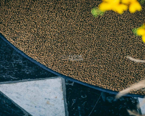 Best Wool Nature Vivaldi I-AB Flavoured Cayenne фото 3 | FLOORDEALER