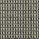 Ковролин Carpet Concept Goi 4 290106  | FLOORDEALER