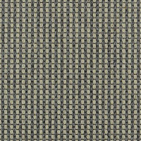 Ковролин Carpet Concept Goi 4 290106 фото 1 | FLOORDEALER