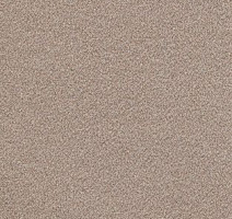 Ковролин AW Confidence 16 фото 1 | FLOORDEALER