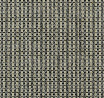 Ковролин Carpet Concept Goi 4 290106 фото 1 | FLOORDEALER