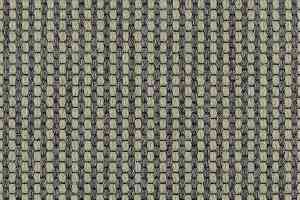 Ковролин Carpet Concept Goi 4 290106 фото  | FLOORDEALER