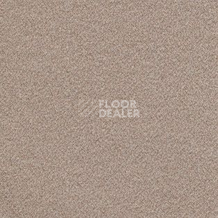 Ковролин AW Confidence 16 фото 1 | FLOORDEALER