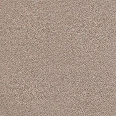 Ковролин AW Confidence 16 фото 1 | FLOORDEALER