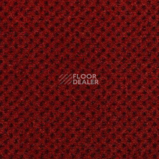 Ковролин Condor Carpets Nile 232 фото 1 | FLOORDEALER