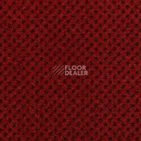 Ковролин Condor Carpets Nile 232 фото 1 | FLOORDEALER