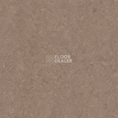 Линолеум Marmorette DLW 2.5mm 0003 Dark Brown фото 1 | FLOORDEALER