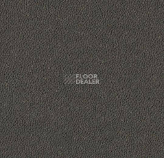 Ковровая плитка Westbond Ibond Natural 9760 фото 1 | FLOORDEALER