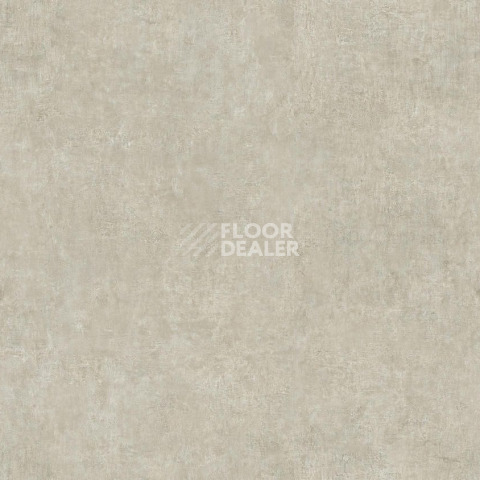 Линолеум Tarkett Acczent Pro Concrete 1 фото 1 | FLOORDEALER