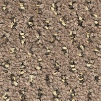 Ковролин Balsan Balmoral Balmoral 769 фото 1 | FLOORDEALER