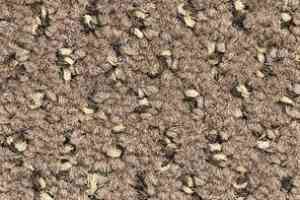 Ковролин Balsan Balmoral Balmoral 769 фото  | FLOORDEALER