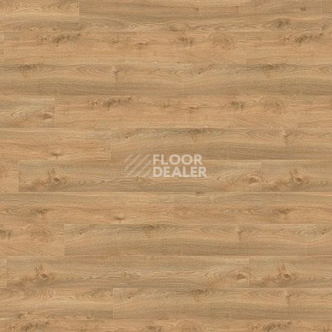 Ламинат Wineo 700 Wood XXL V4 8мм LA224XXLV4 Дуб Финский Золотой фото 1 | FLOORDEALER