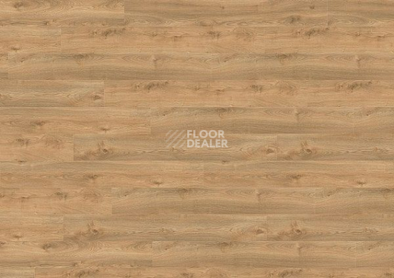 Ламинат Wineo 700 Wood XXL V4 8мм LA224XXLV4 Дуб Финский Золотой фото 1 | FLOORDEALER