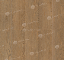 Кварцвиниловые полы Alpine Floor Classic Клен классический ECO 173-6 MC фото 1 | FLOORDEALER