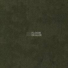 Ковровая плитка Modulyss Velvet& Velvet & 662 фото 1 | FLOORDEALER