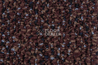 Desso Solid ac 73 2962 фото 3 | FLOORDEALER