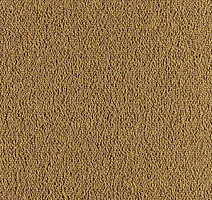 Ковровая плитка Tecsom Prima 00100 фото 1 | FLOORDEALER