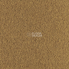 Ковровая плитка Tecsom Prima 00100 фото 1 | FLOORDEALER